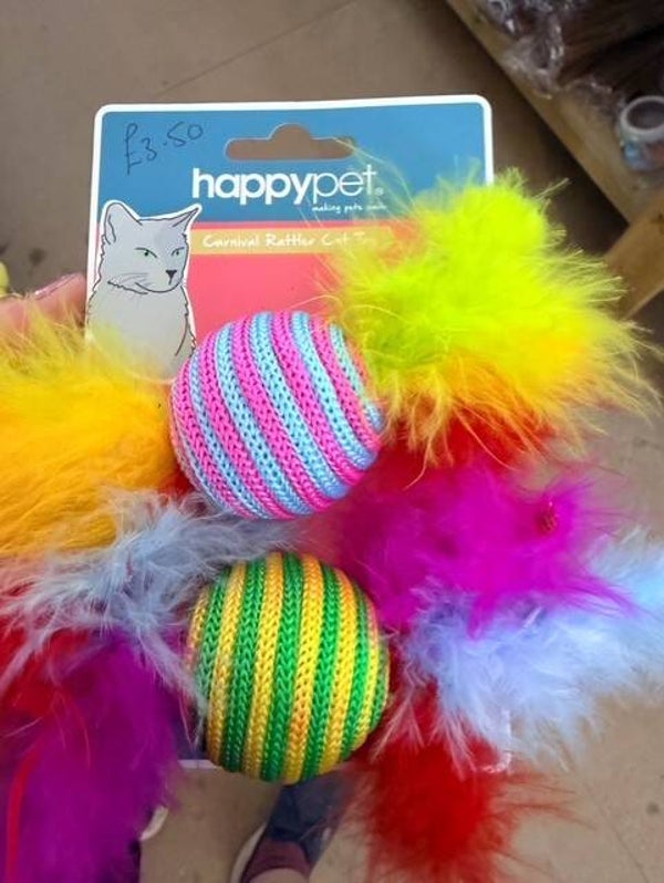 Cat rattler toys