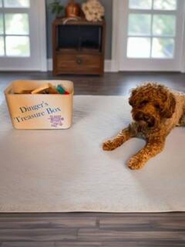 Personalised Toy Box