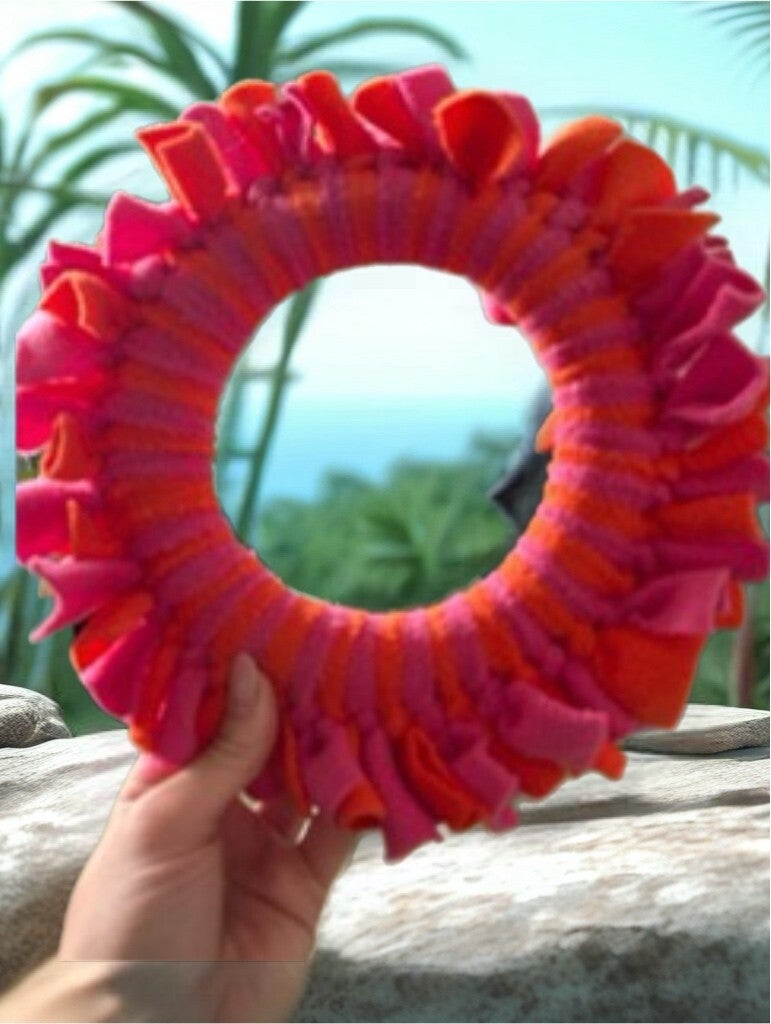 Zoomies Toss and Tug