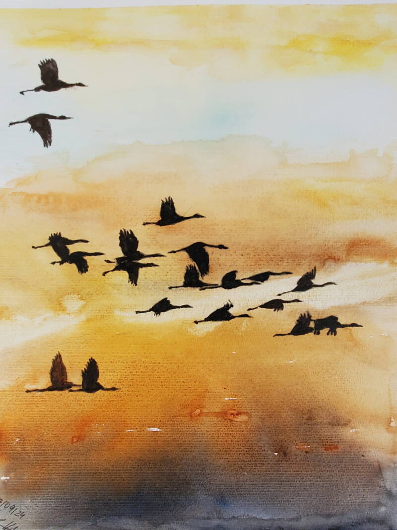 Kranische fliegen am Abend über der Eifel nach Süden.