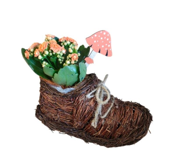 Composition d’automne – Chaussure en paille & Kalanchoé