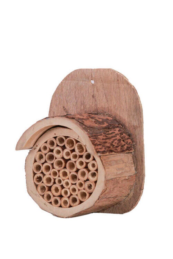 Abri Abeilles et insectes 01
