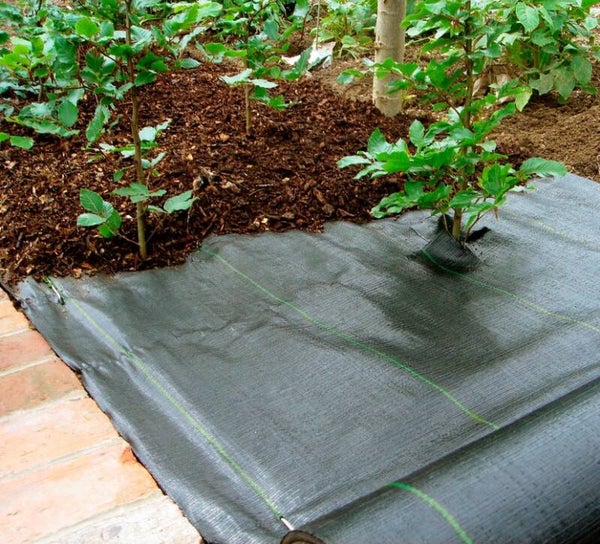 Bâche de Plantation 1x10m – 100g/m²