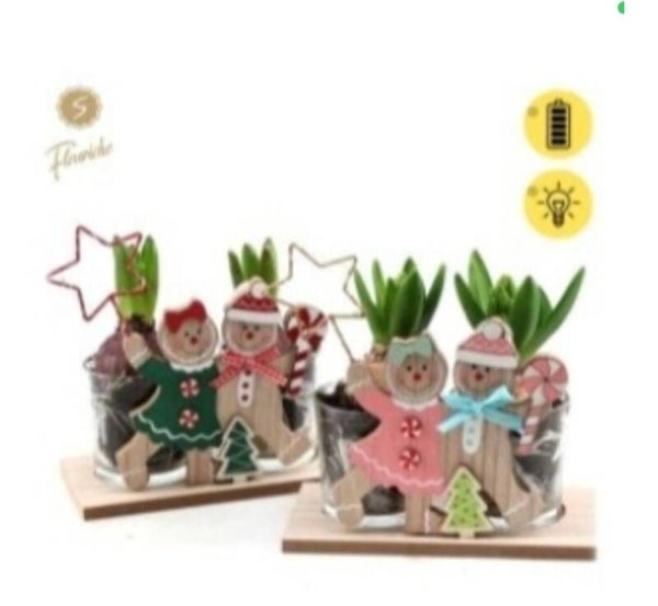 Composition de jacinthes lumineuse - 10