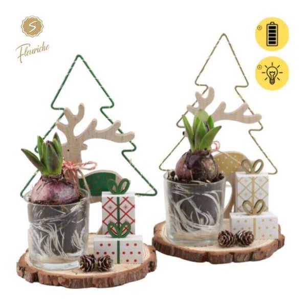 Composition de jacinthes lumineuse - 1