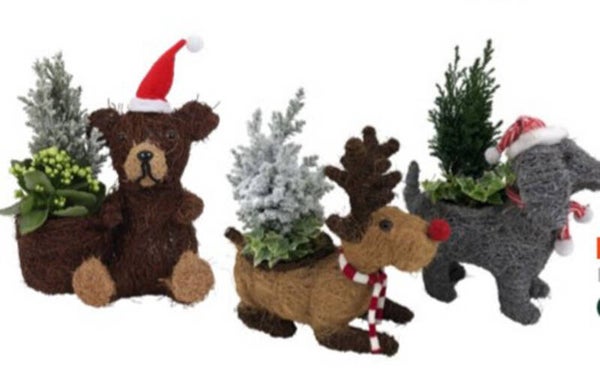 Composition de Noël - 17