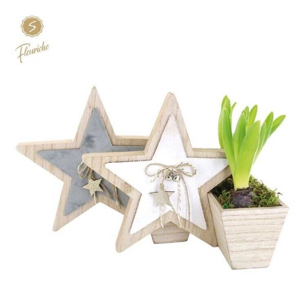 Composition de jacinthes - 2