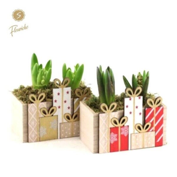 Composition de jacinthes - 20