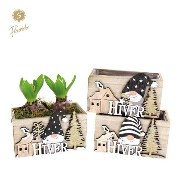 Composition de jacinthes - 21