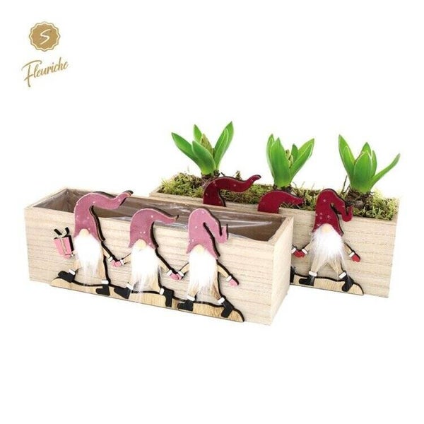 Composition de jacinthes - 23