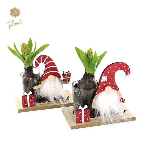 Composition de jacinthes - 24