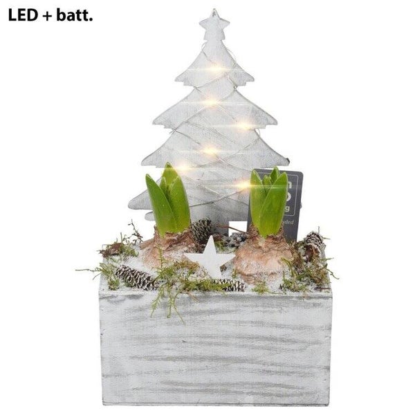 Composition de jacinthes lumineuse - 26