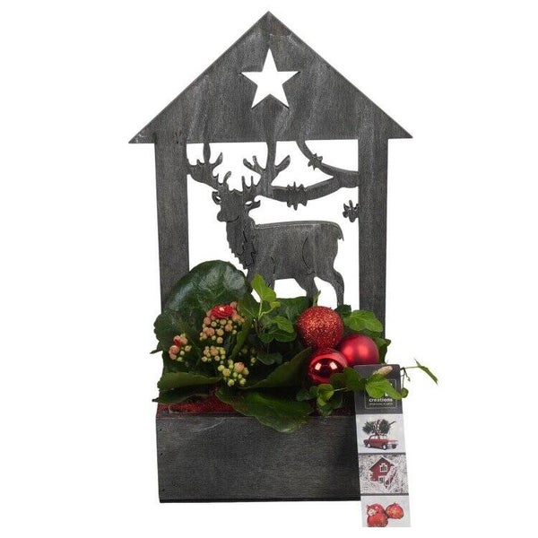 Composition de Noël - 31