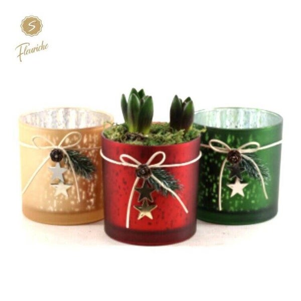 Composition de jacinthes - 32