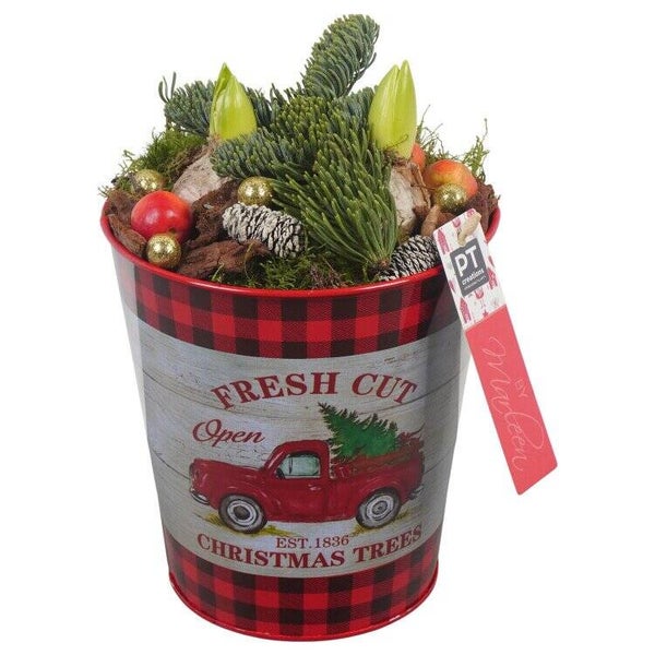 Composition Amaryllis - 33