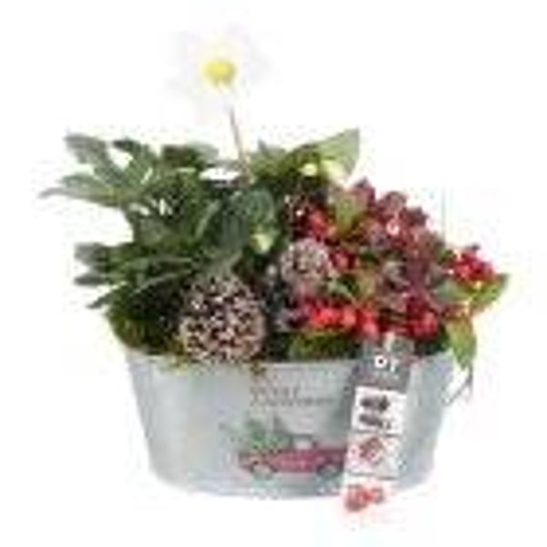 Composition de Noël - 37