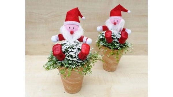 Composition de Noël - 49