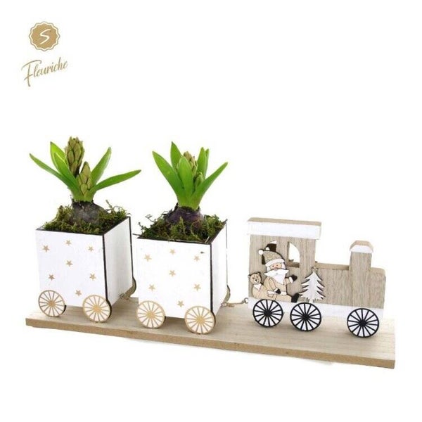 Composition de jacinthes - 7