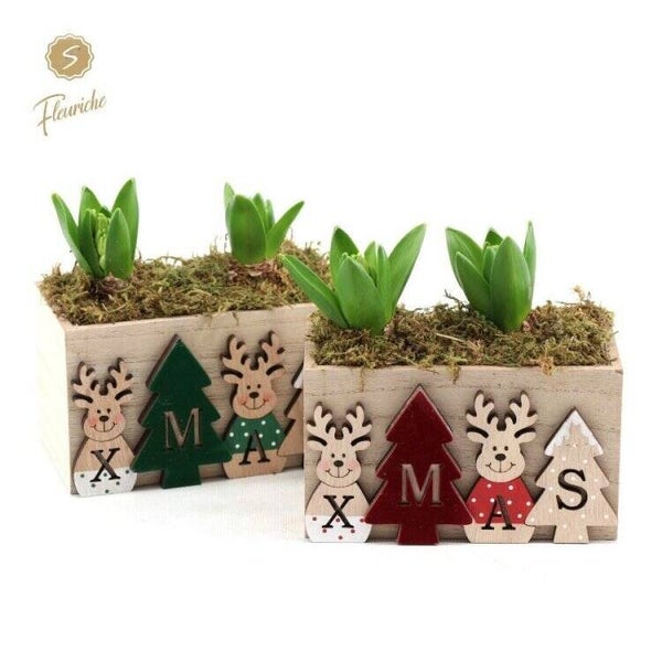 Composition de jacinthes - 9