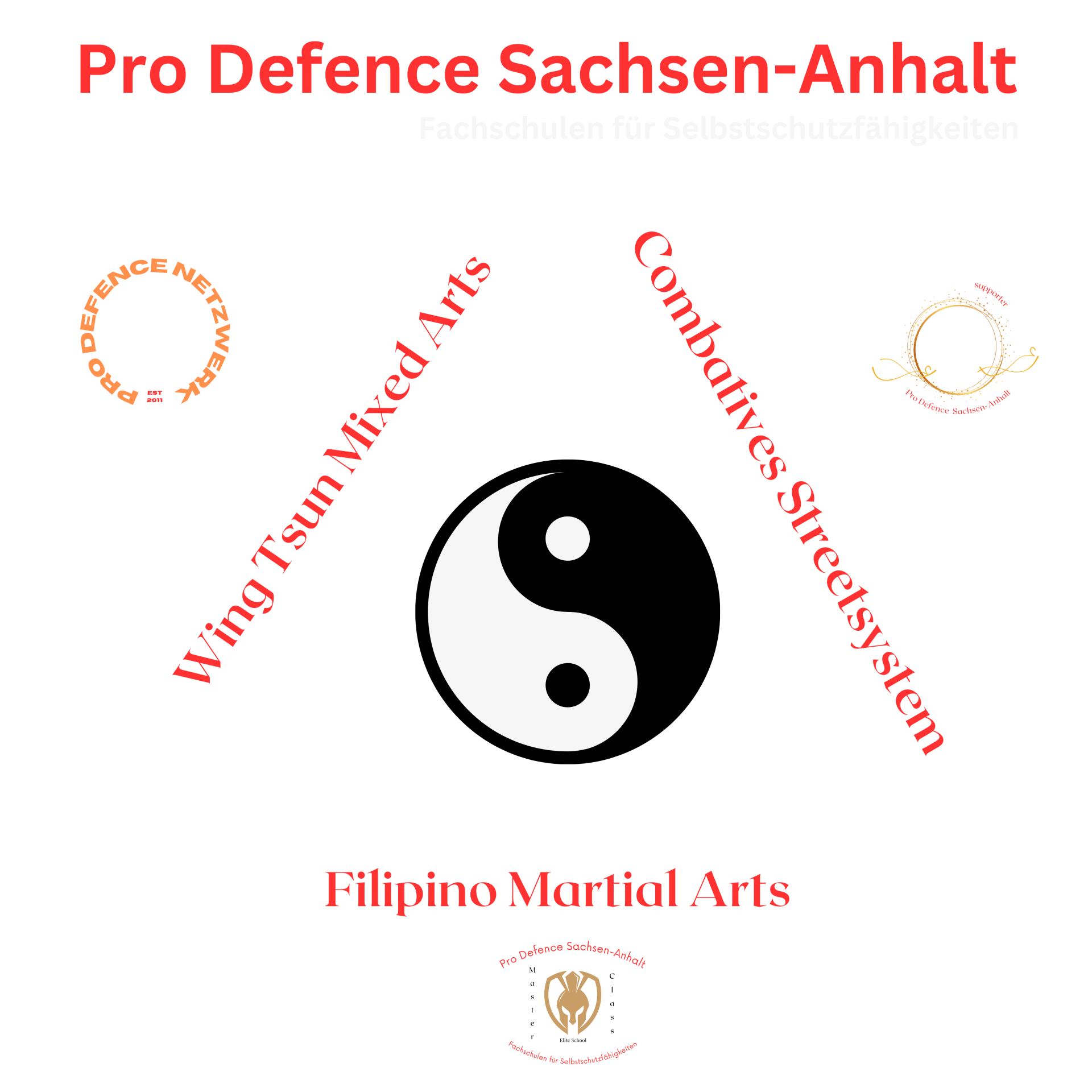 Pro Defence Sachsen-Anhalt Logo