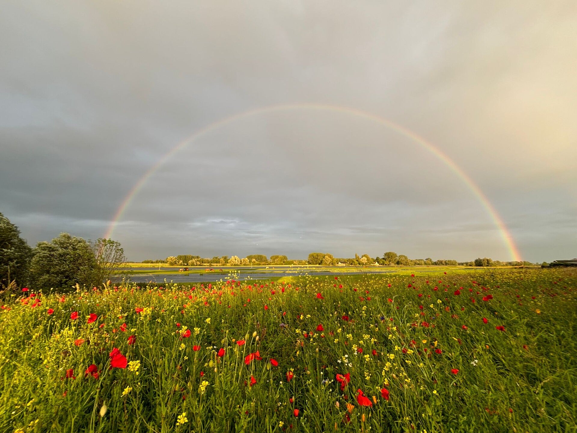 EMDR Hattem, ACT Hattem Werken in-en met natuur Hattem