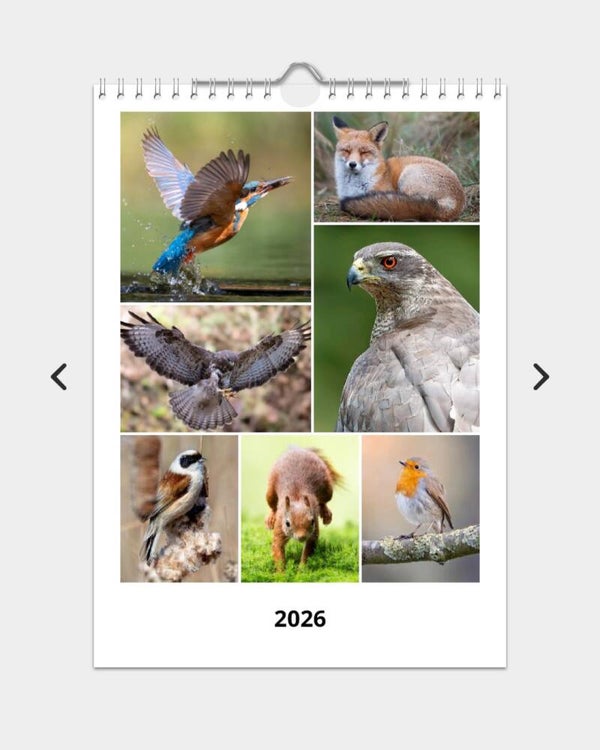 Jaarkalender 2026 - A4 formaat