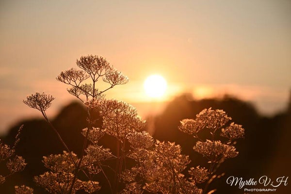 Sunset photo