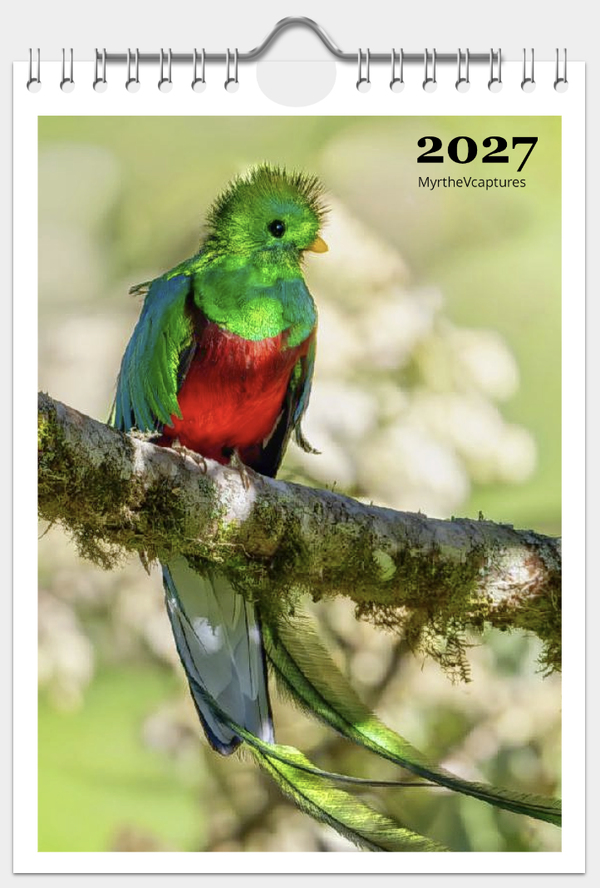 Jaar kalender 2027 - A5 formaat
