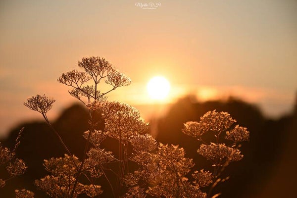 Zonsondergang - sunset1