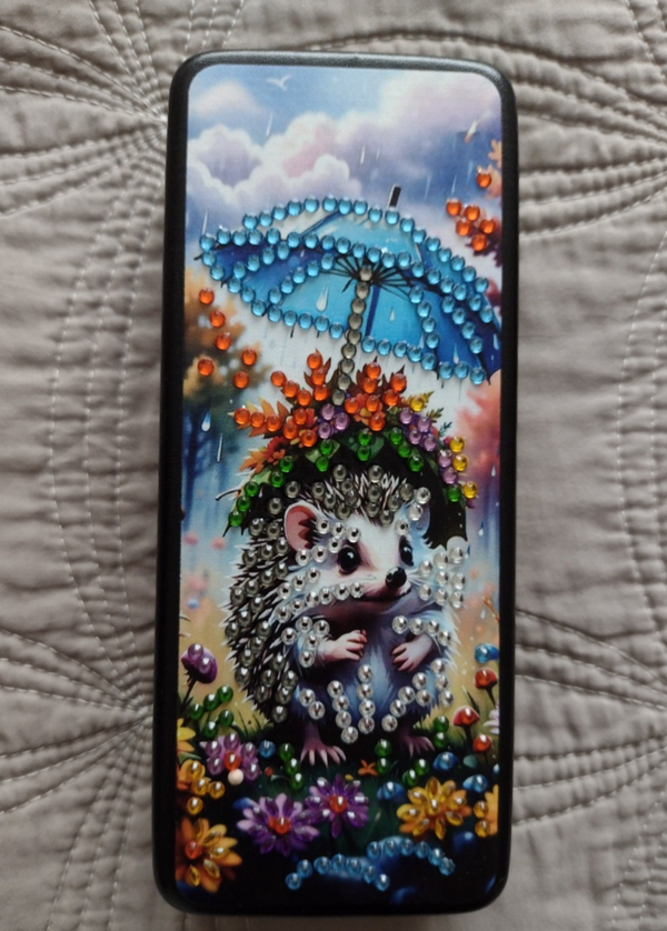 Brillendoosje (motief egel)