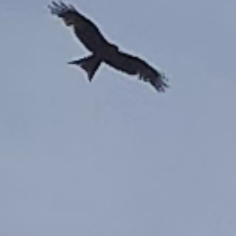 e5ced98c-1ff7-44eb-a1e3-a7d90fb6c5ba.png
