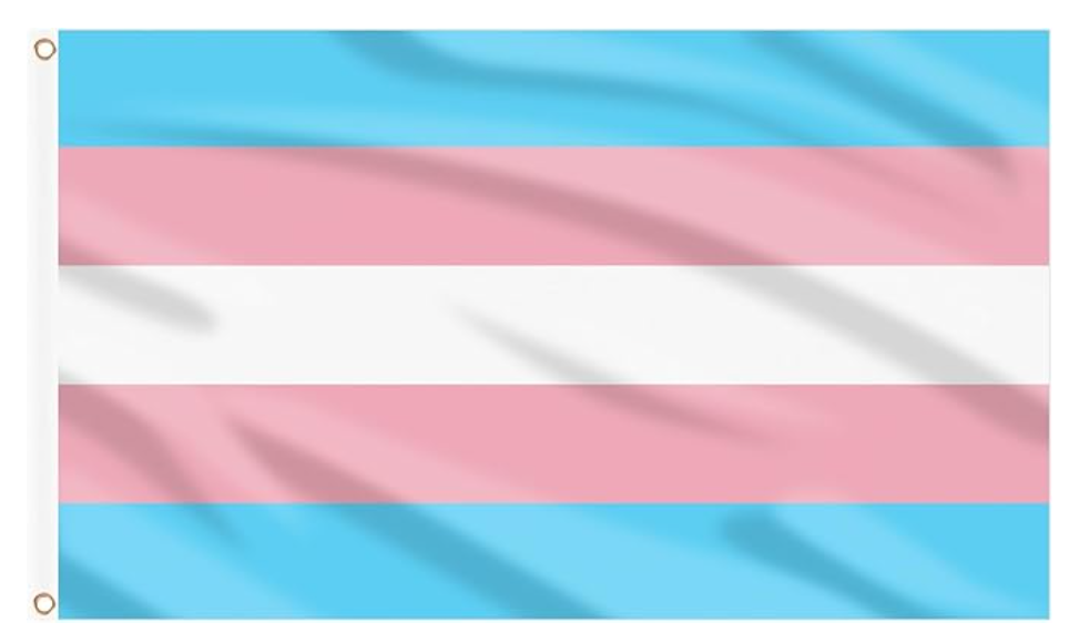 Transgender Flag.