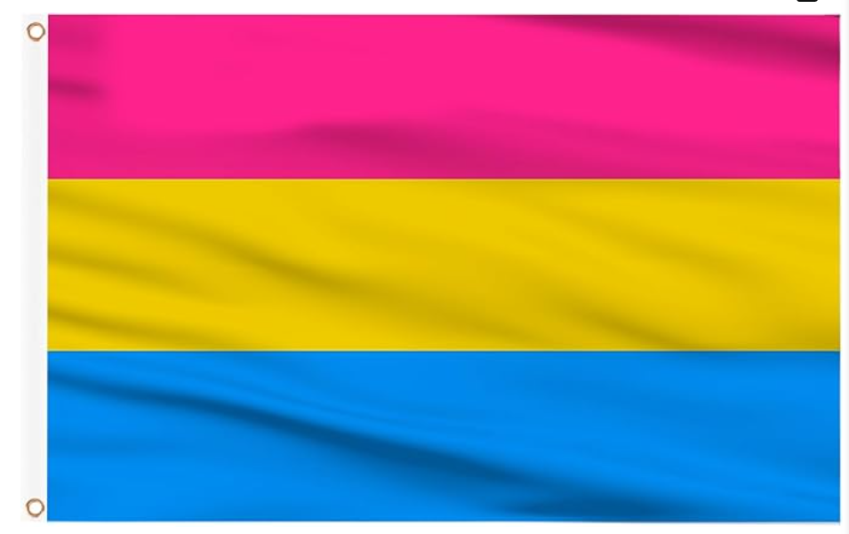 Pansexual Flag