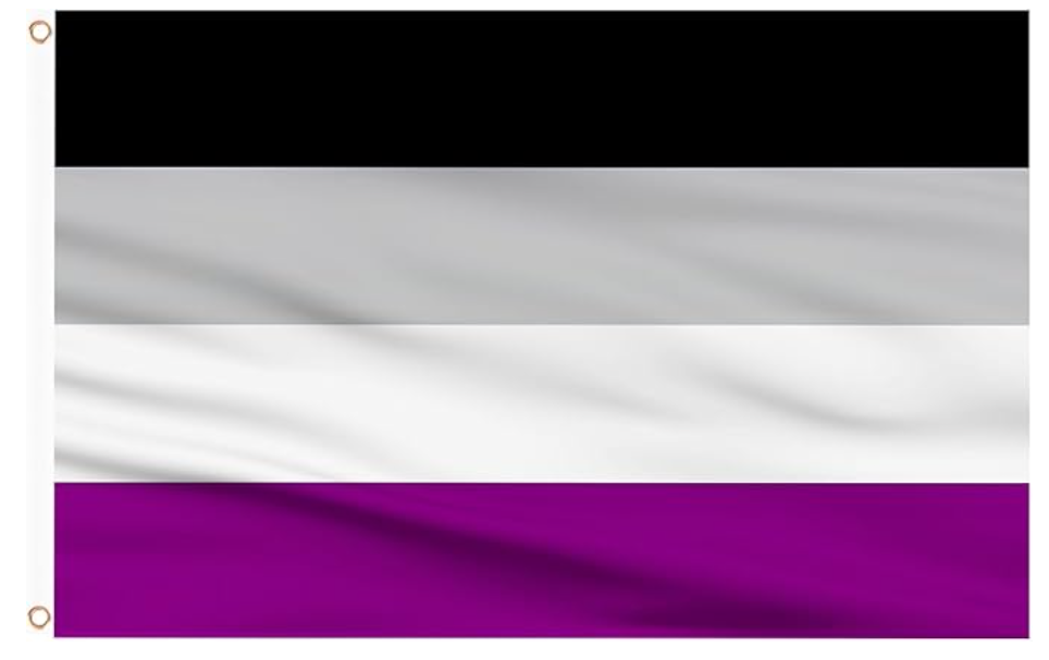 Asexual Flag