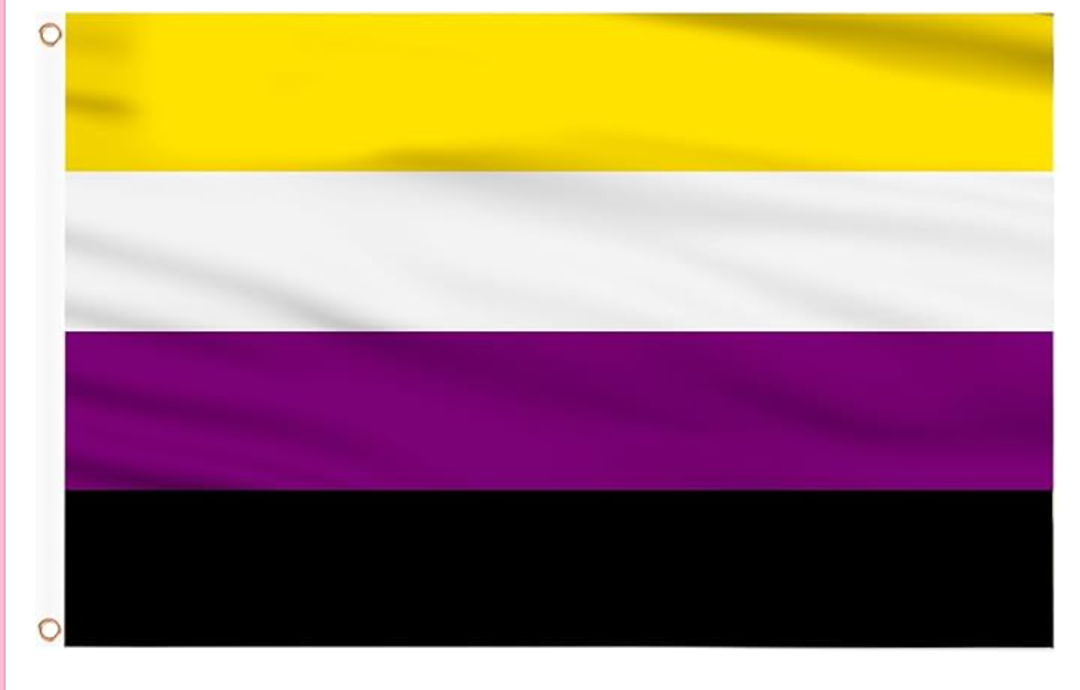 Non-Binary Flag