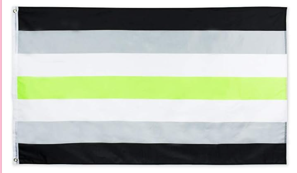 Agender Flag
