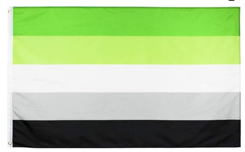 Aromantic Flag