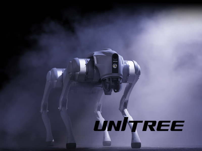 Unitree Robot Go2 B2 Humanoid