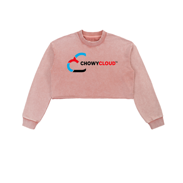 Snow Washed Raw Edge Cropped Sweatshirt