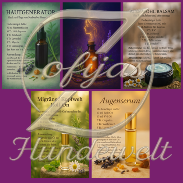 Rezeptset Mensch