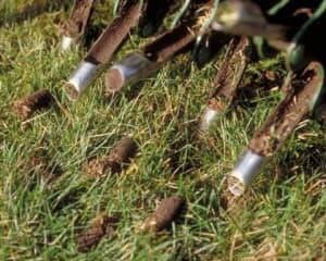 aeration-standard.jpg