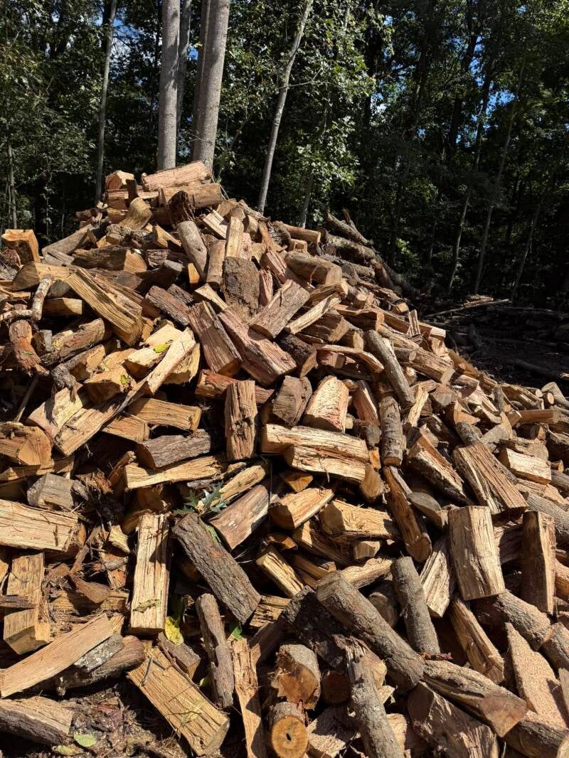 firewood-standard-7pnrzc.jpg