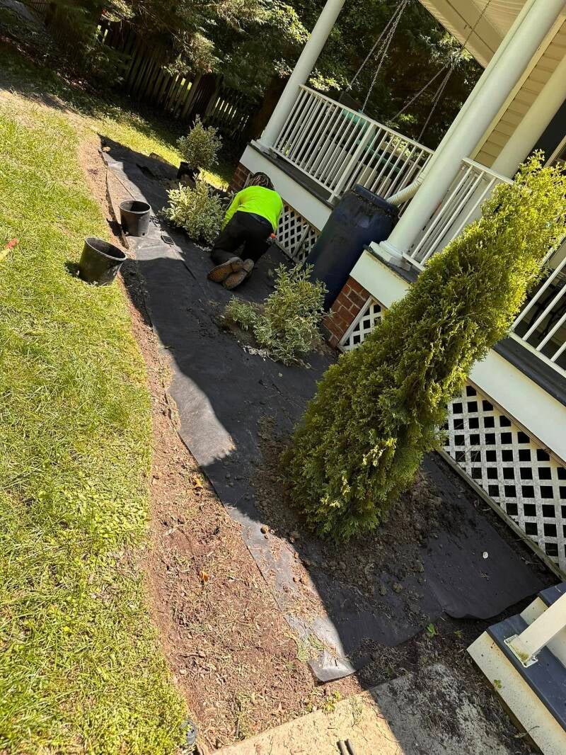 flowerbed-standard.jpg
