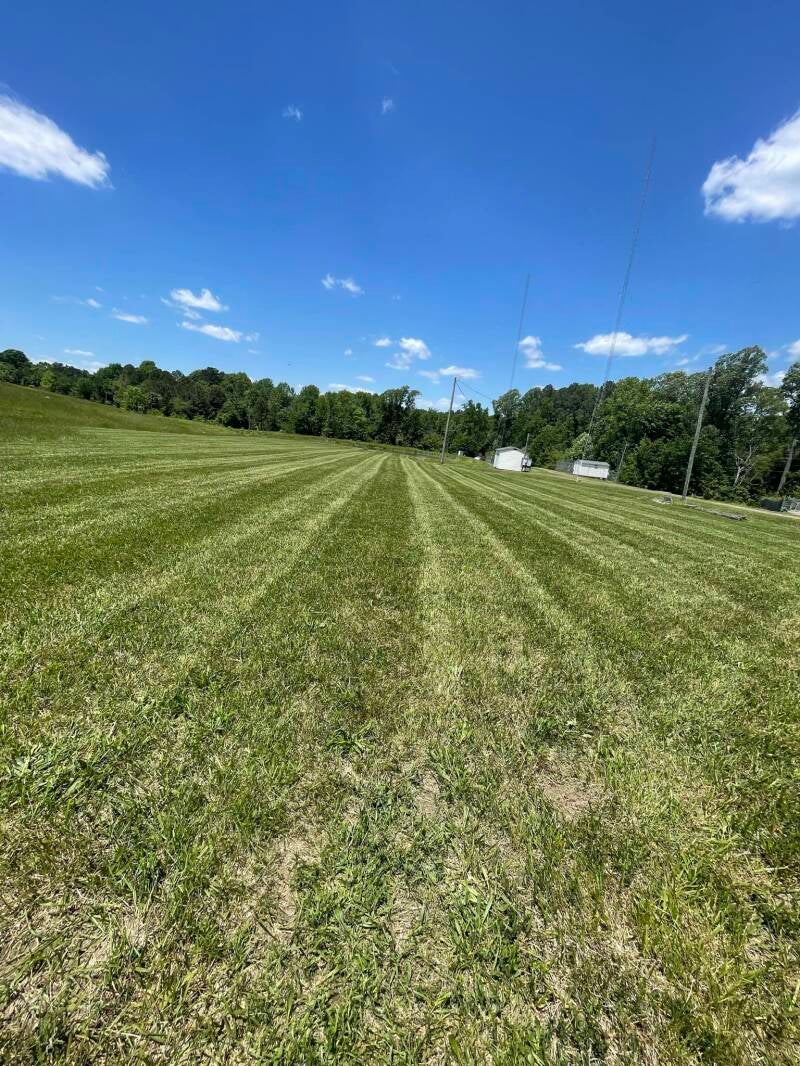 grass-standard-ysjna8.jpg