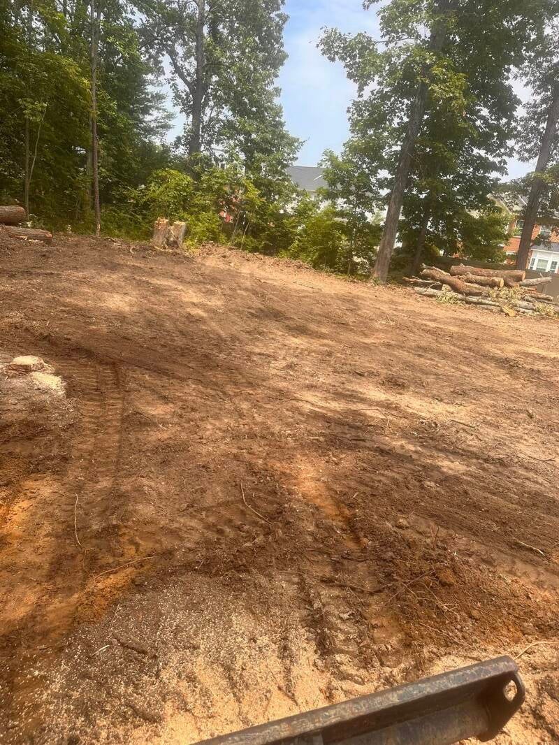land-clearing-standard.jpg