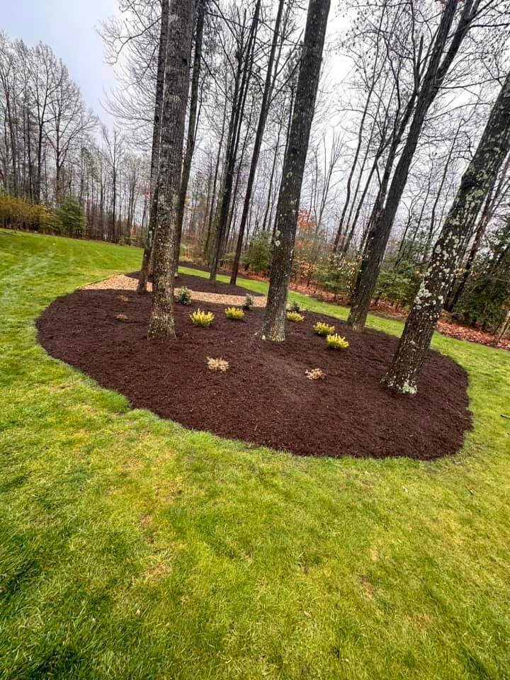 mulch-beds-standard-3znxzv.jpg