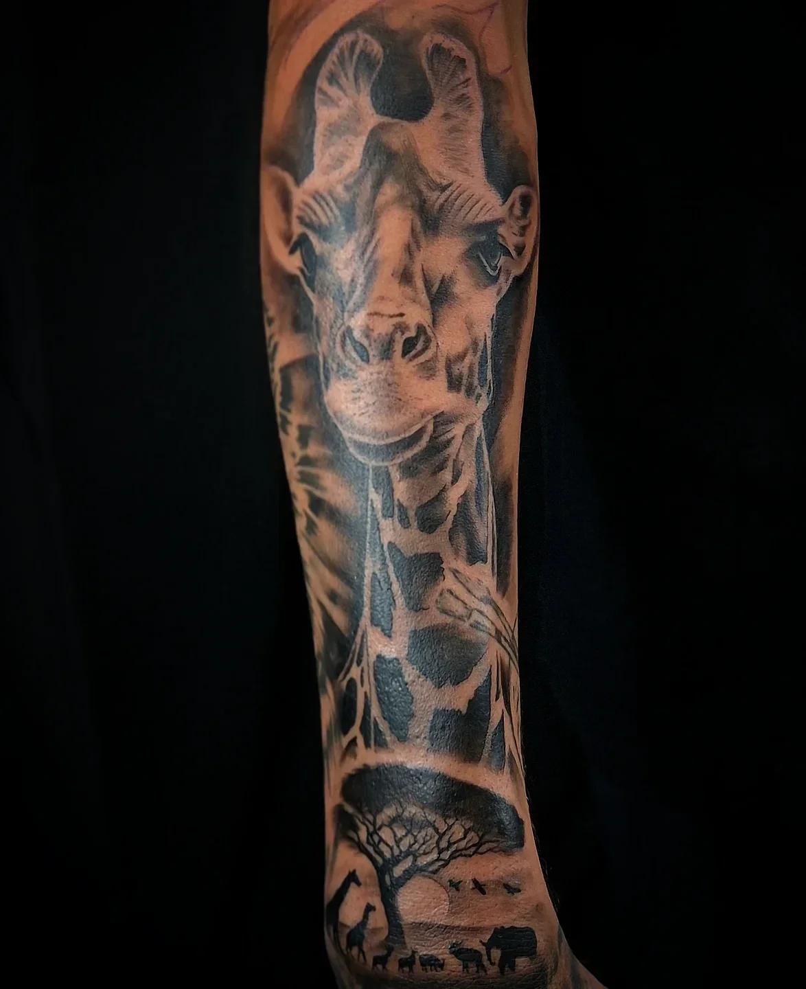 Giraffe · onderarm