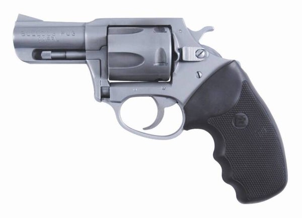 Charter Arms Bulldog 2in SS 44spl