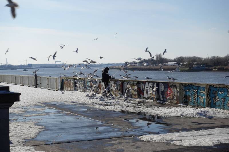 Het Steenplein aan de oevers van de schelde Antwerpen