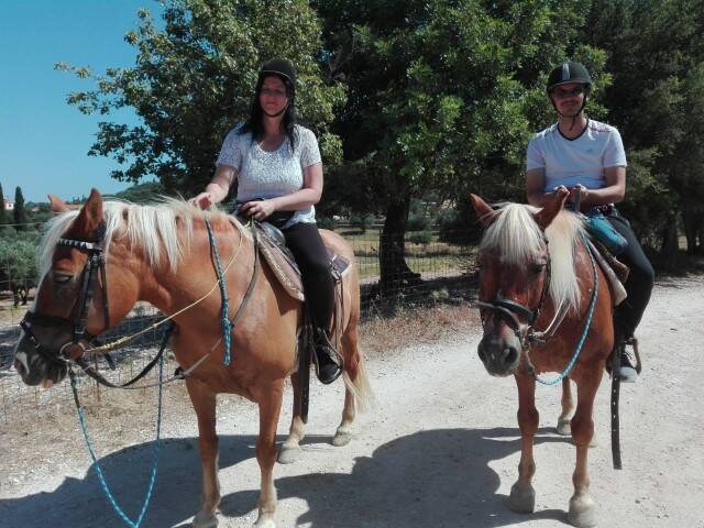 Op de paardjes Bavarian Horse Riding